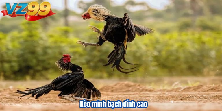Kèo minh bạch đỉnh cao