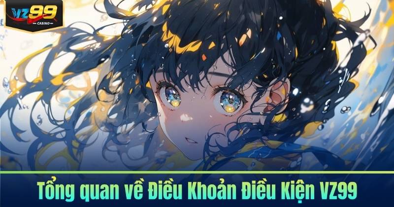 Điều Khoản Điều Kiện 4 Tổng quan về Điều Khoản Điều Kiện VZ99